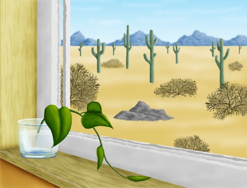 Creation of Desert Window: Step 9